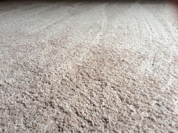 Plush Carpet Installation in Palm Beach Gardens